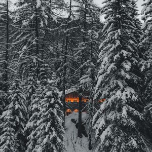 Preview wallpaper forest, house, trees, snow, nature