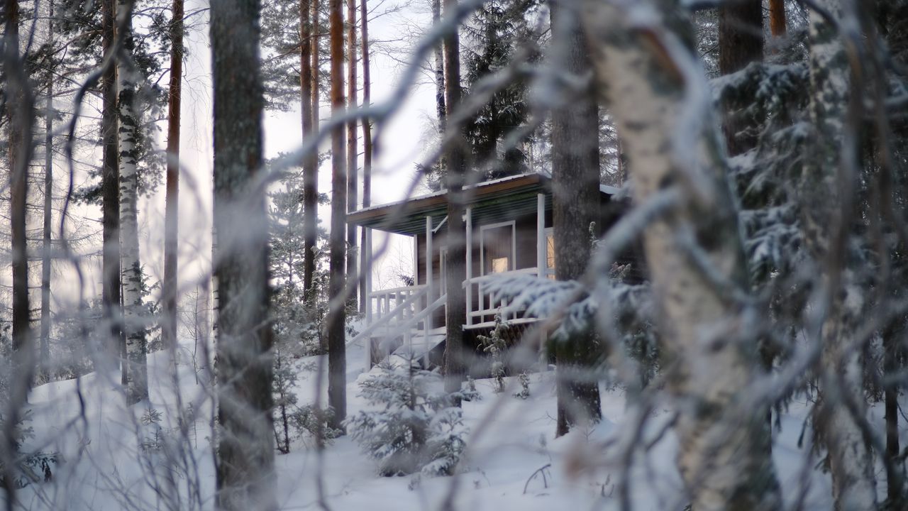 Wallpaper forest, house, trees, snow, winter, nature