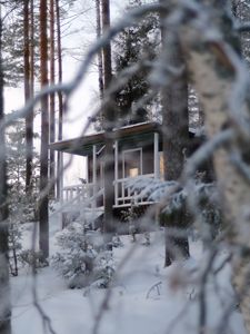 Preview wallpaper forest, house, trees, snow, winter, nature