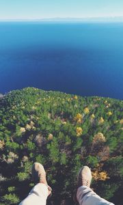 Preview wallpaper forest, lake, aerial view, land, water, overview