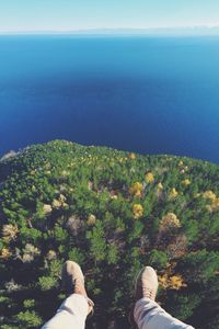 Preview wallpaper forest, lake, aerial view, land, water, overview