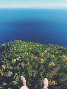 Preview wallpaper forest, lake, aerial view, land, water, overview