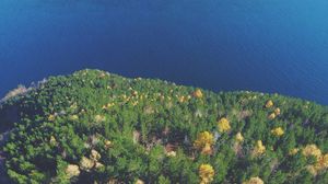 Preview wallpaper forest, lake, aerial view, land, water, overview