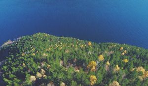 Preview wallpaper forest, lake, aerial view, land, water, overview