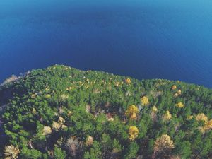 Preview wallpaper forest, lake, aerial view, land, water, overview