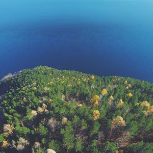 Preview wallpaper forest, lake, aerial view, land, water, overview