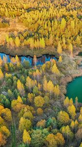 Preview wallpaper forest, lake, aerial view, landscape, autumn