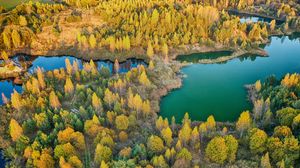 Preview wallpaper forest, lake, aerial view, landscape, autumn