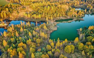 Preview wallpaper forest, lake, aerial view, landscape, autumn