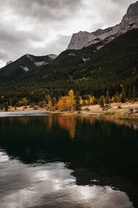 Preview wallpaper forest, lake, autumn, rock