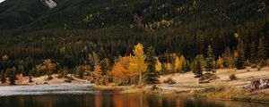 Preview wallpaper forest, lake, autumn, rock