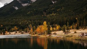 Preview wallpaper forest, lake, autumn, rock