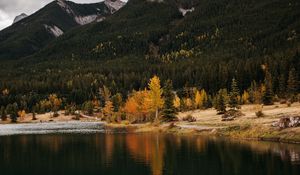 Preview wallpaper forest, lake, autumn, rock