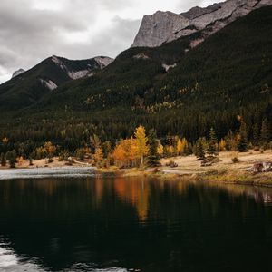 Preview wallpaper forest, lake, autumn, rock