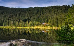Preview wallpaper forest, lake, house, reflection, nature