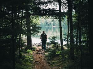 Preview wallpaper forest, lake, man, tourist, trees, nature