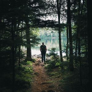 Preview wallpaper forest, lake, man, tourist, trees, nature