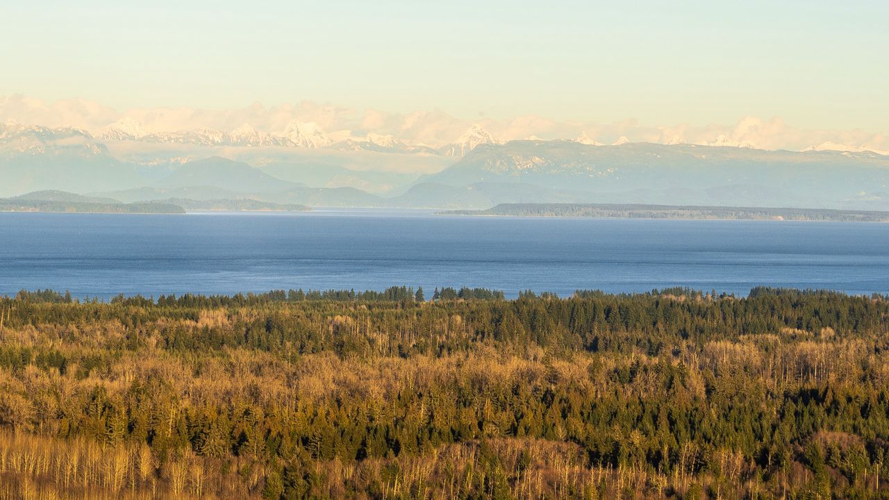 Wallpaper forest, lake, mountains, horizon, fog, clouds