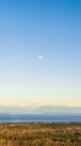 Preview wallpaper forest, lake, mountains, horizon, fog, clouds