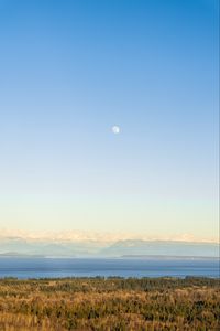 Preview wallpaper forest, lake, mountains, horizon, fog, clouds