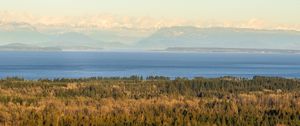 Preview wallpaper forest, lake, mountains, horizon, fog, clouds