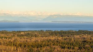 Preview wallpaper forest, lake, mountains, horizon, fog, clouds