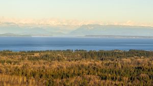 Preview wallpaper forest, lake, mountains, horizon, fog, clouds