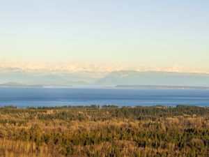 Preview wallpaper forest, lake, mountains, horizon, fog, clouds
