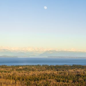 Preview wallpaper forest, lake, mountains, horizon, fog, clouds