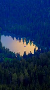 Preview wallpaper forest, lake, nature, aerial view