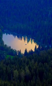 Preview wallpaper forest, lake, nature, aerial view