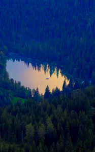 Preview wallpaper forest, lake, nature, aerial view