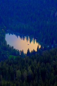 Preview wallpaper forest, lake, nature, aerial view