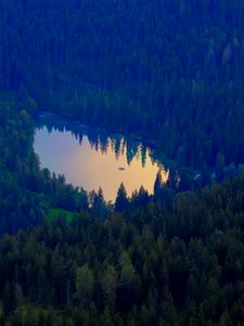 Preview wallpaper forest, lake, nature, aerial view