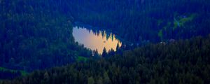 Preview wallpaper forest, lake, nature, aerial view