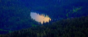 Preview wallpaper forest, lake, nature, aerial view