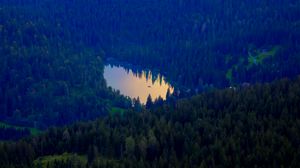 Preview wallpaper forest, lake, nature, aerial view