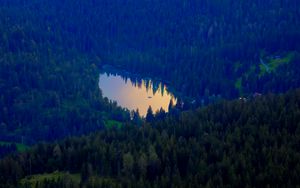 Preview wallpaper forest, lake, nature, aerial view