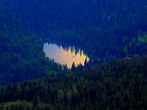 Preview wallpaper forest, lake, nature, aerial view