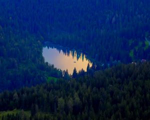 Preview wallpaper forest, lake, nature, aerial view