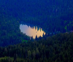 Preview wallpaper forest, lake, nature, aerial view