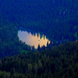 Preview wallpaper forest, lake, nature, aerial view