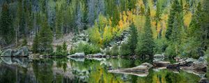 Preview wallpaper forest, lake, reflection, trees