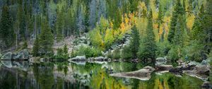 Preview wallpaper forest, lake, reflection, trees