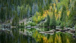 Preview wallpaper forest, lake, reflection, trees