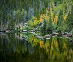 Preview wallpaper forest, lake, reflection, trees