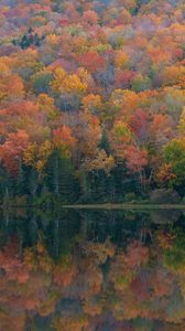 Preview wallpaper forest, lake, reflection, autumn, nature