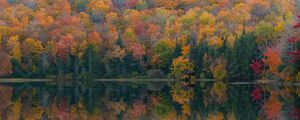 Preview wallpaper forest, lake, reflection, autumn, nature