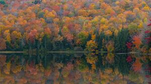 Preview wallpaper forest, lake, reflection, autumn, nature