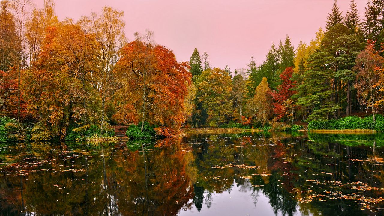 Wallpaper forest, lake, reflection, autumn